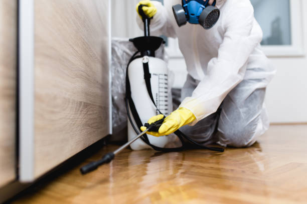 Trusted Irving, TX Pest Control Experts