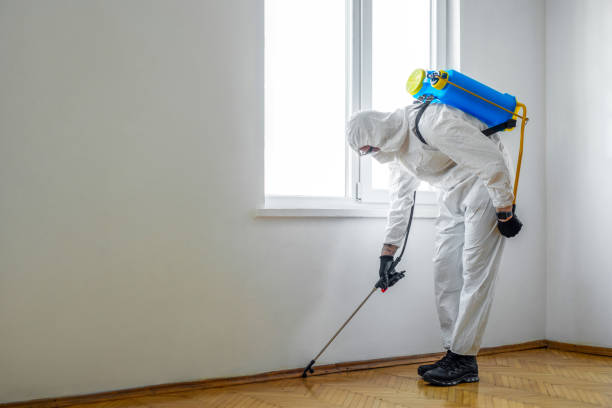 Best Residential Pest Control  in Irving, TX