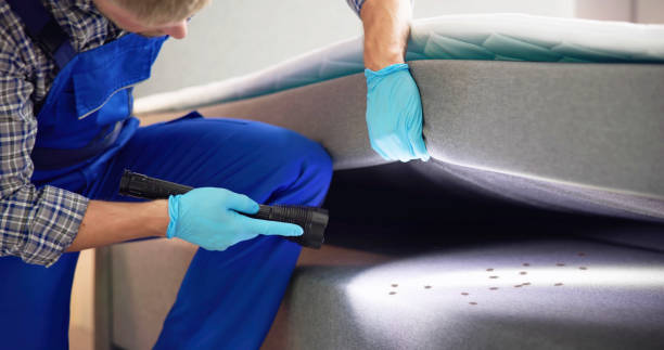 Best Emergency Pest Control  in Irving, TX
