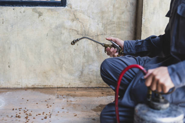 Best Exterminator Services  in Irving, TX