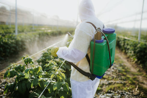 Best Pest Inspection Near Me  in Irving, TX